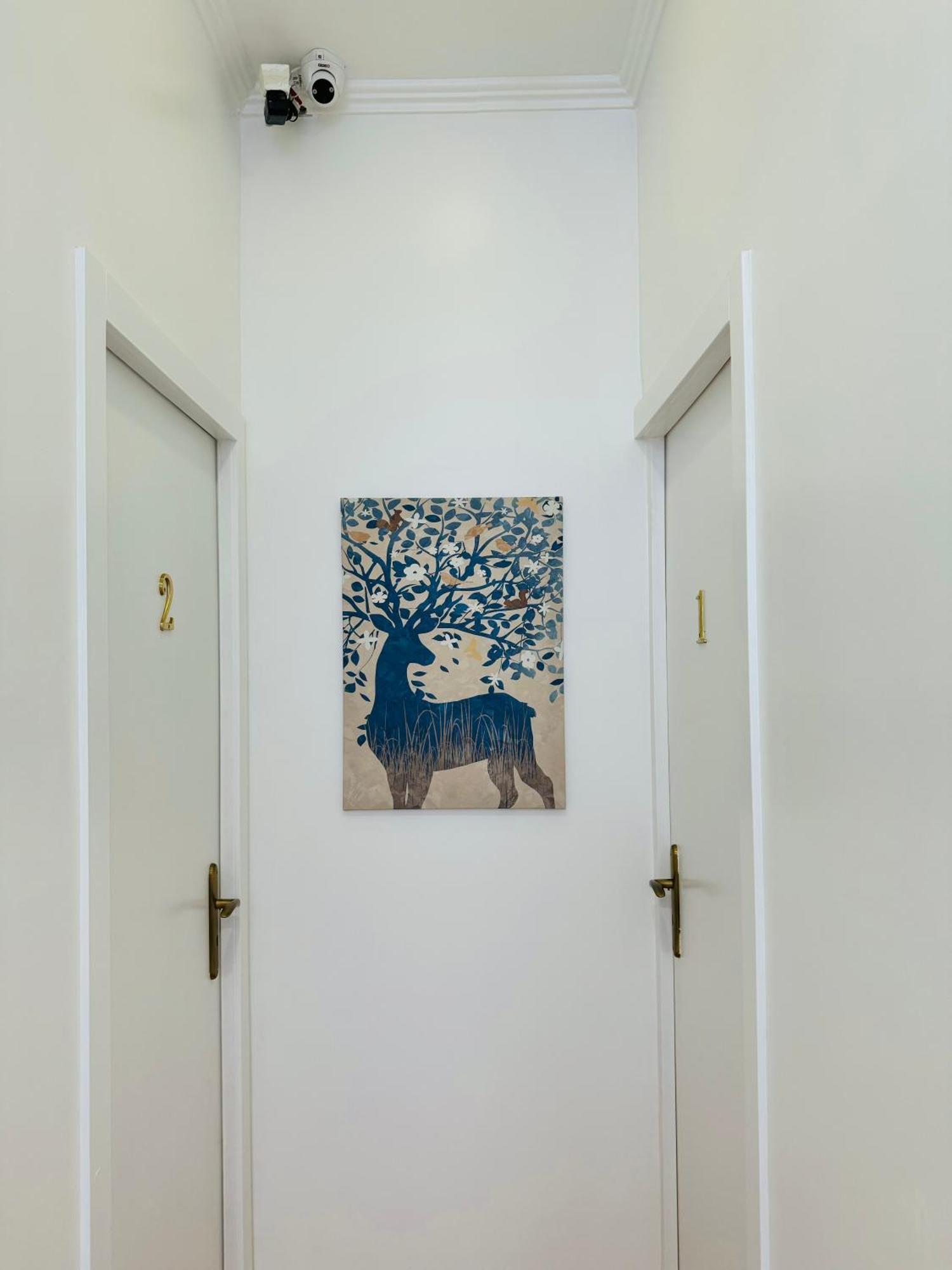 Apartamento Alfama - Lisboa Exteriér fotografie